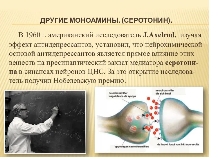 ДРУГИЕ МОНОАМИНЫ. (СЕРОТОНИН). В 1960 г. американский исследователь J.Axelrod, изучая