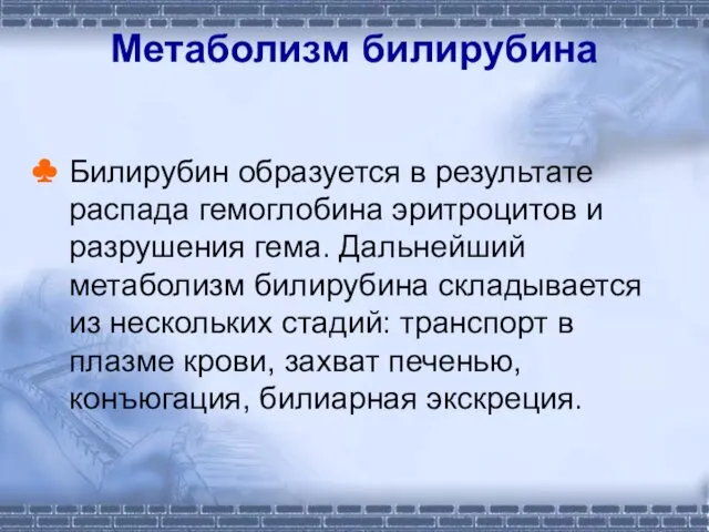 Метаболизм билирубина Билирубин образуется в результате распада гемоглобина эритроцитов и разрушения гема. Дальнейший