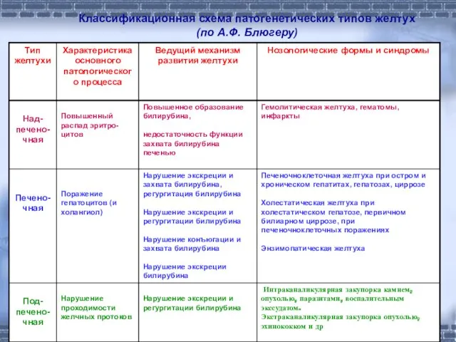 Классификационная схема патогенетических типов желтух (по А.Ф. Блюгеру)