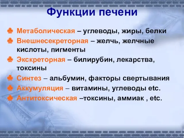 Функции печени Метаболическая – углеводы, жиры, белки Внешнесекреторная – желчь, желчные кислоты, пигменты