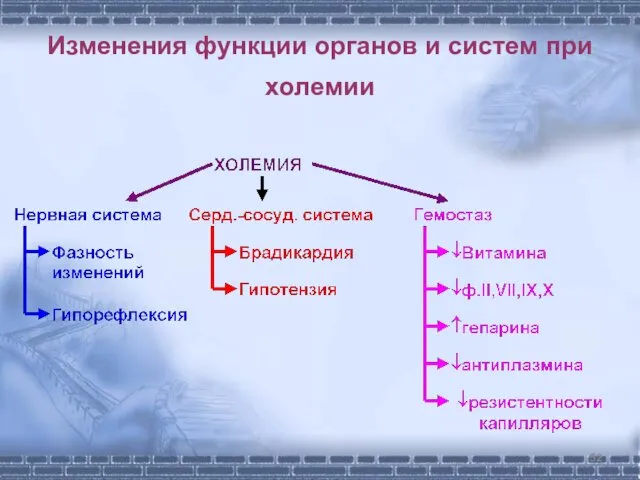 Изменения функции органов и систем при холемии