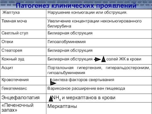 Патогенез клинических проявлений