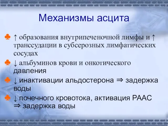 Механизмы асцита ↑ образования внутрипеченочной лимфы и ↑ транссудации в