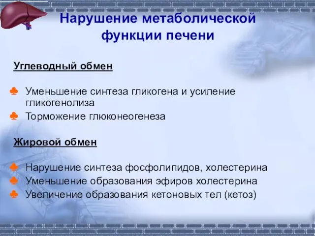 Нарушение метаболической функции печени Углеводный обмен Уменьшение синтеза гликогена и усиление гликогенолиза Торможение