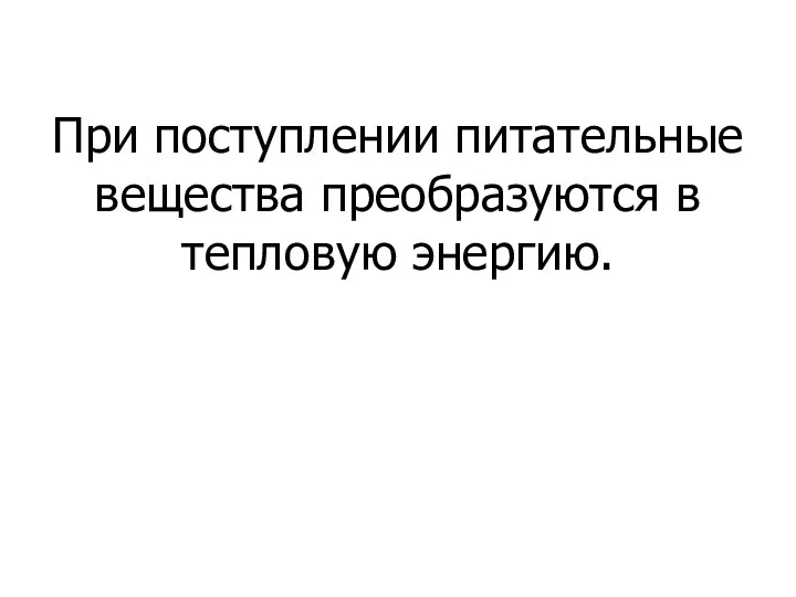 При поступлении питательные вещества преобразуются в тепловую энергию.