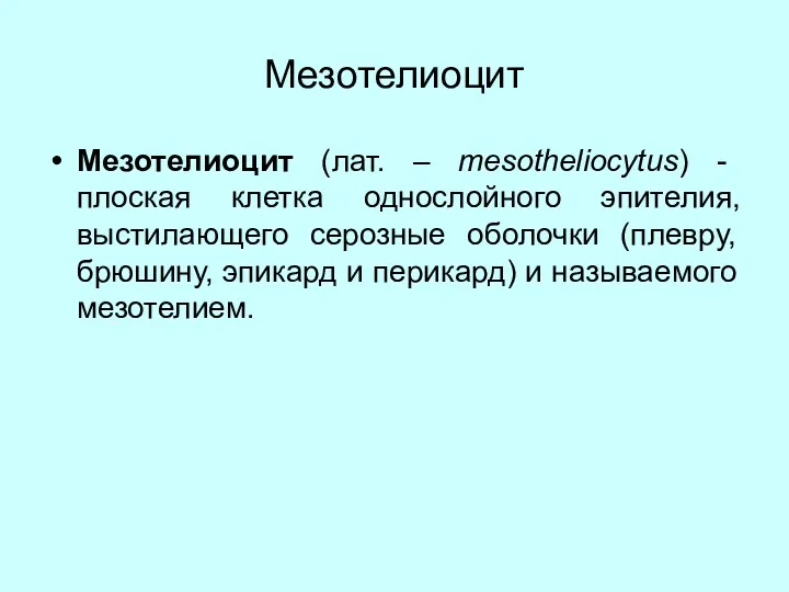 Мезотелиоцит Мезотелиоцит (лат. – mesotheliocytus) - плоская клетка однослойного эпителия,