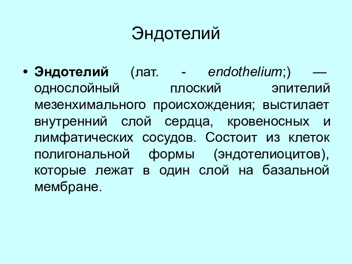 Эндотелий Эндотелий (лат. - endothelium;) — однослойный плоский эпителий мезенхимального