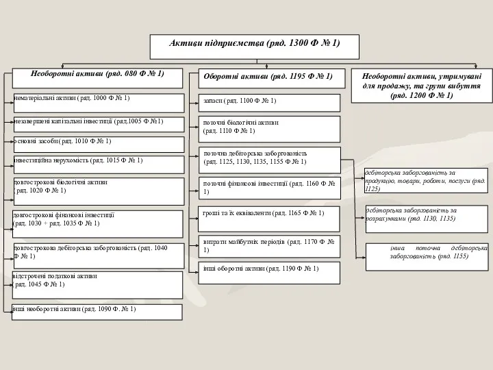 Активи підприємства (ряд. 1300 Ф № 1) Необоротні активи (ряд.