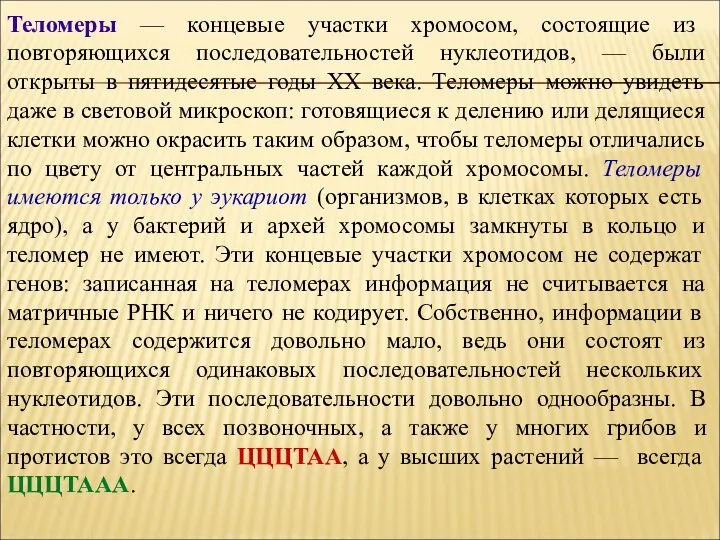 Теломеры — концевые участки хромосом, состоящие из повторяющихся последовательностей нуклеотидов,