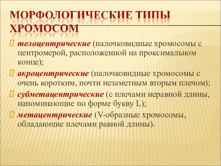 телоцентрические (палочковидные хромосомы с центромерой, расположенной на проксимальном конце); акроцентрические