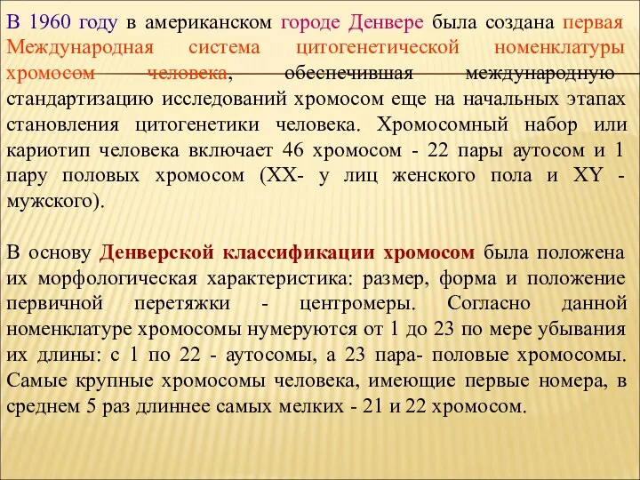 В 1960 году в американском городе Денвере была создана первая