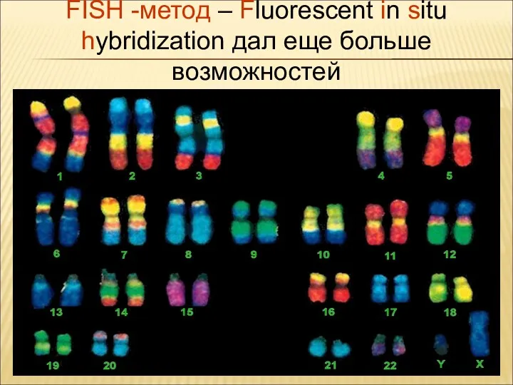 FISH -метод – Fluorescent in situ hybridization дал еще больше возможностей