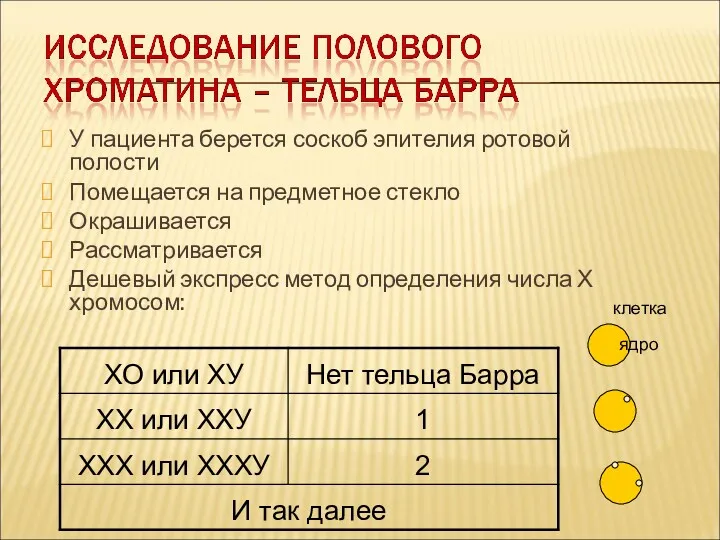 У пациента берется соскоб эпителия ротовой полости Помещается на предметное