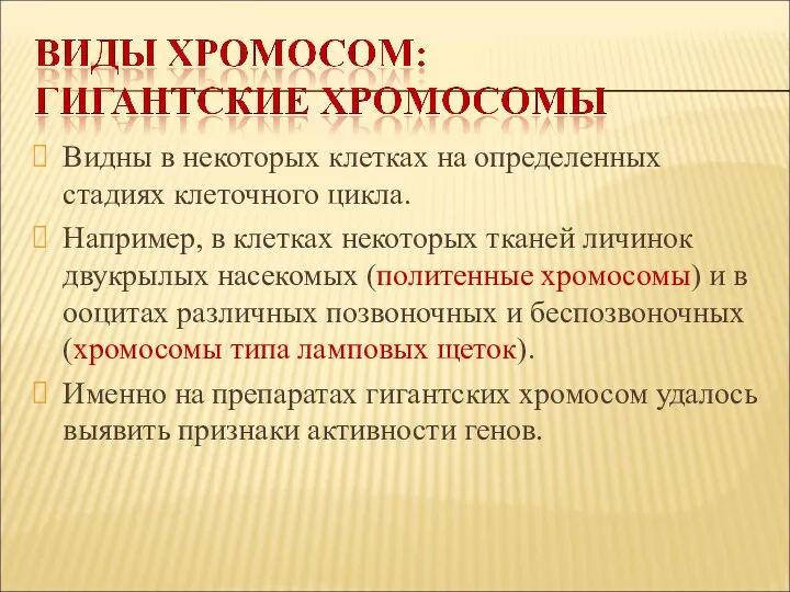 Видны в некоторых клетках на определенных стадиях клеточного цикла. Например,