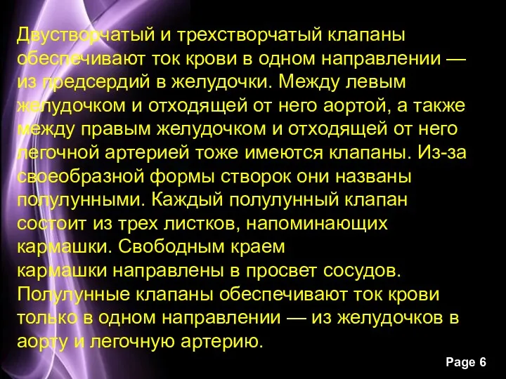 Двустворчатый и трехстворчатый клапаны обеспечивают ток крови в одном направлении