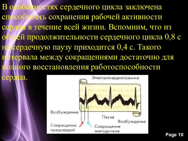 В особенностях сердечного цикла заключена способность сохранения рабочей активности сердца