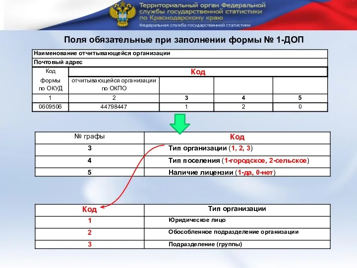 Поля обязательные при заполнении формы № 1-ДОП