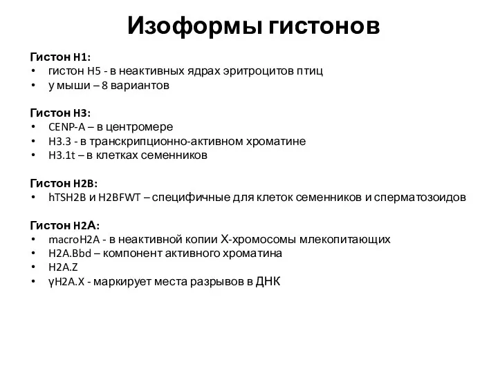 Изоформы гистонов Гистон H1: гистон H5 - в неактивных ядрах