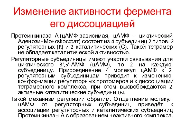 Изменение активности фермента его диссоциацией Протеинкиназа А (цАМФ-зависимая, цАМФ –