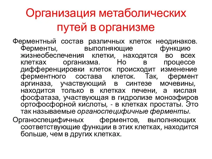 Организация метаболических путей в организме Ферментный состав различных клеток неодинаков.