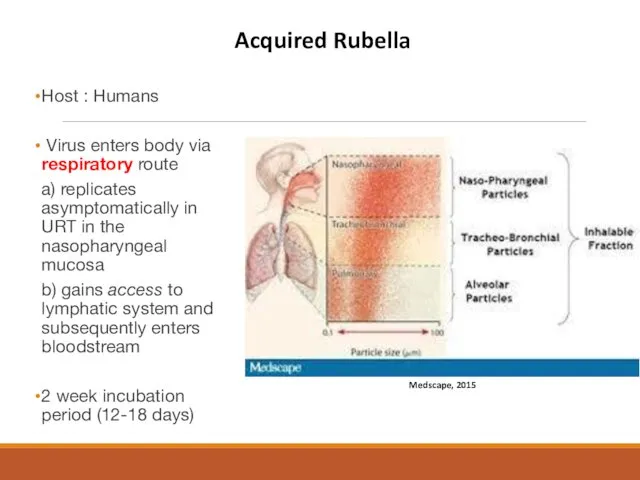 Host : Humans Virus enters body via respiratory route a)