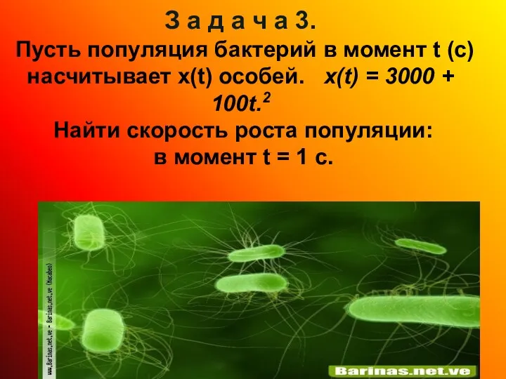 З а д а ч а 3. Пусть популяция бактерий