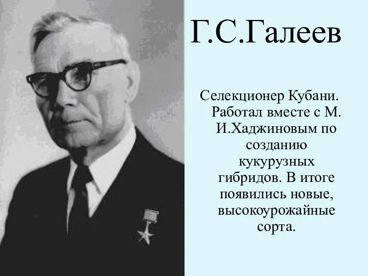 Г.С.Галеев Селекционер Кубани. Работал вместе с М.И.Хаджиновым по созданию кукурузных