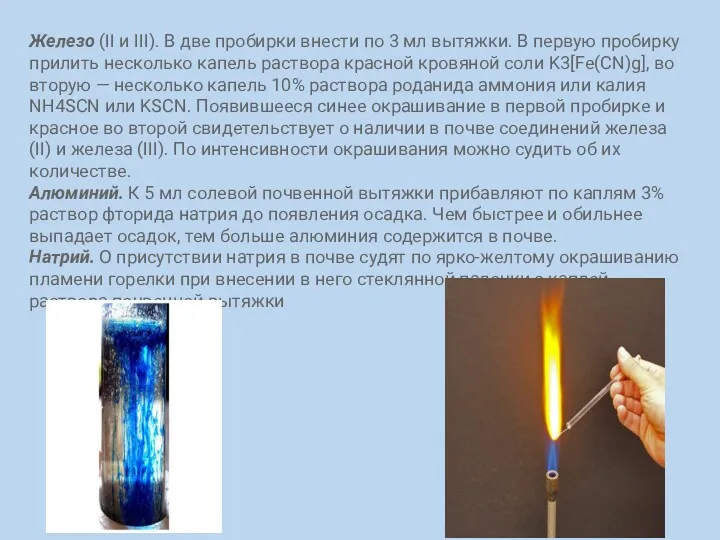 Железо (II и III). В две пробирки внести по 3