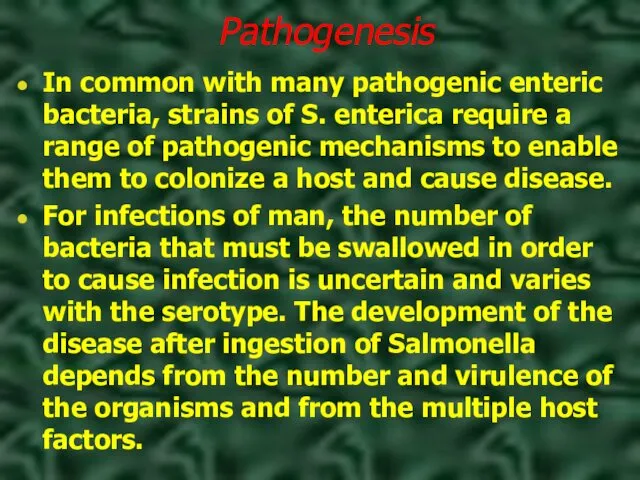 Pathogenesis In common with many pathogenic enteric bacteria, strains of S. enterica require