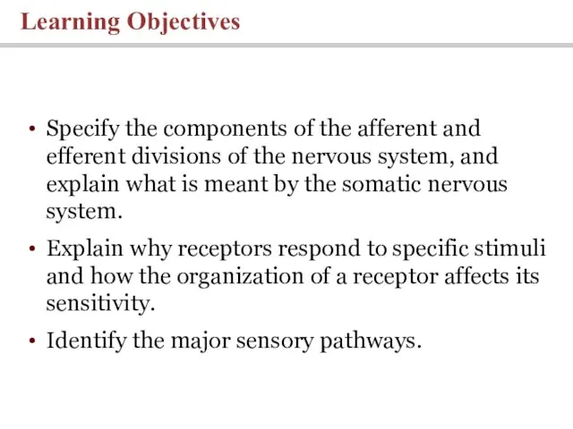 Learning Objectives Specify the components of the afferent and efferent divisions of the