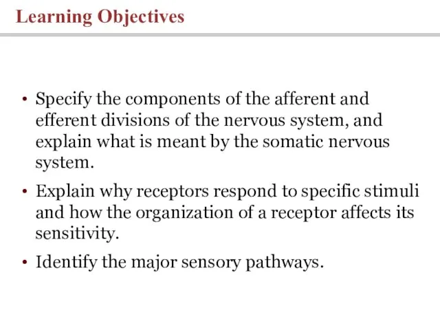 Learning Objectives Specify the components of the afferent and efferent