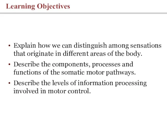 Learning Objectives Explain how we can distinguish among sensations that originate in different