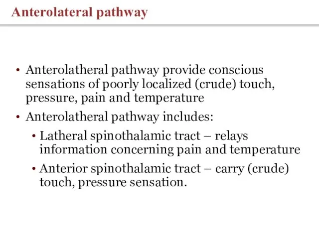 Anterolatheral pathway provide conscious sensations of poorly localized (crude) touch,