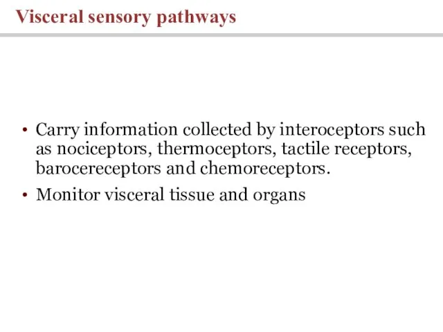 Carry information collected by interoceptors such as nociceptors, thermoceptors, tactile receptors, barocereceptors and
