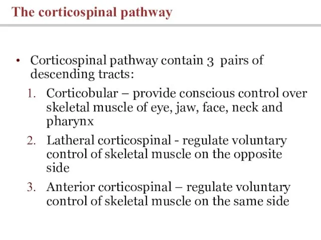 Corticospinal pathway contain 3 pairs of descending tracts: Corticobular – provide conscious control