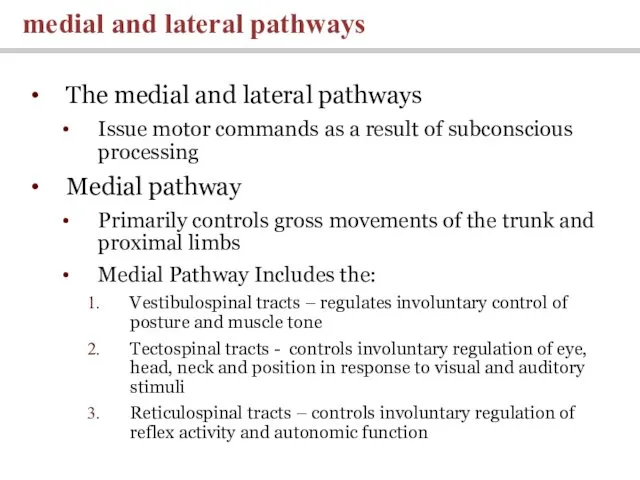 The medial and lateral pathways Issue motor commands as a