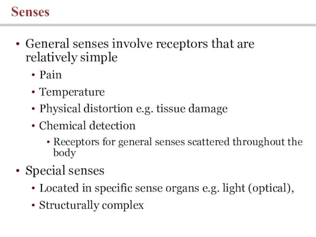 General senses involve receptors that are relatively simple Pain Temperature Physical distortion e.g.