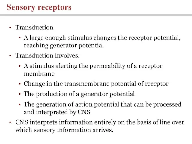 Sensory receptors Transduction A large enough stimulus changes the receptor potential, reaching generator