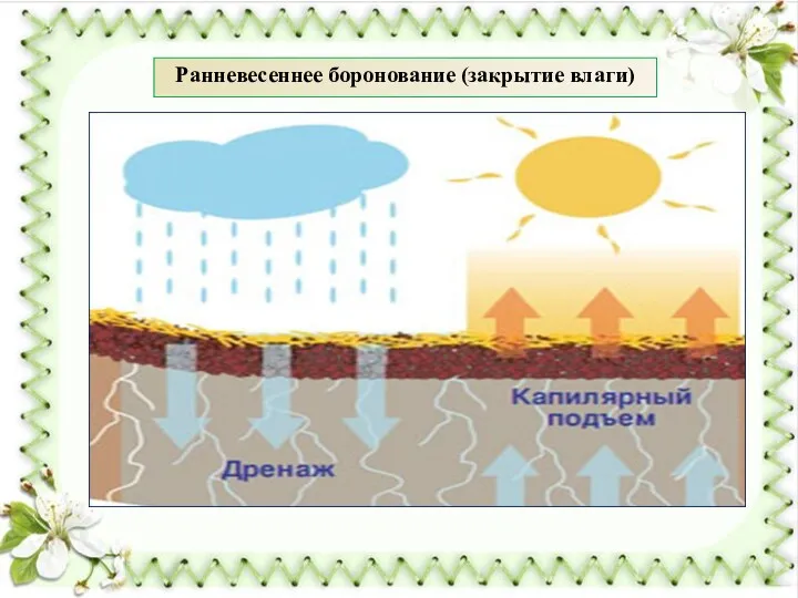 Ранневесеннее боронование (закрытие влаги)