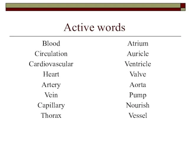 Active words Blood Circulation Cardiovascular Heart Artery Vein Capillary Thorax Atrium Auricle Ventricle
