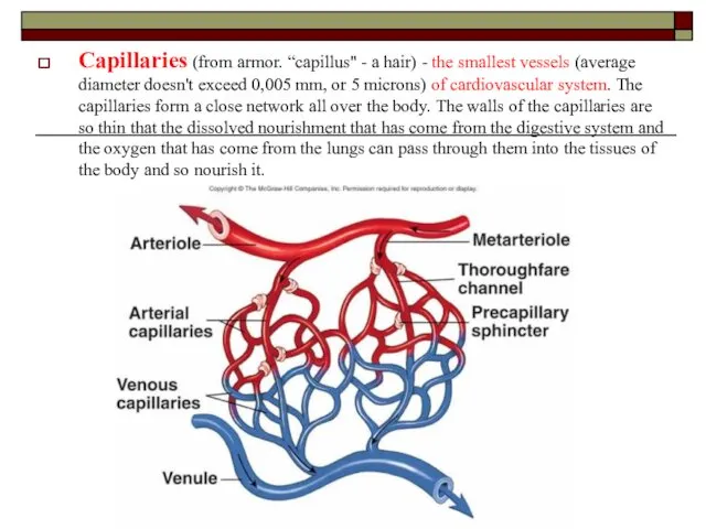 Capillaries (from armor. “capillus" - a hair) - the smallest vessels (average diameter