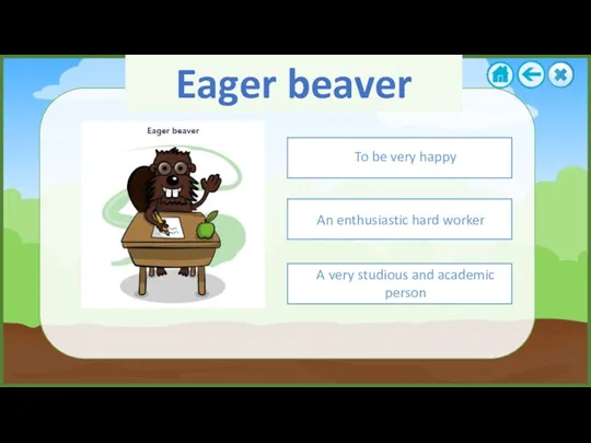 Eager beaver An enthusiastic hard worker To be very happy A very studious and academic person