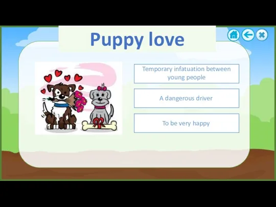 Puppy love Temporary infatuation between young people To be very happy A dangerous driver