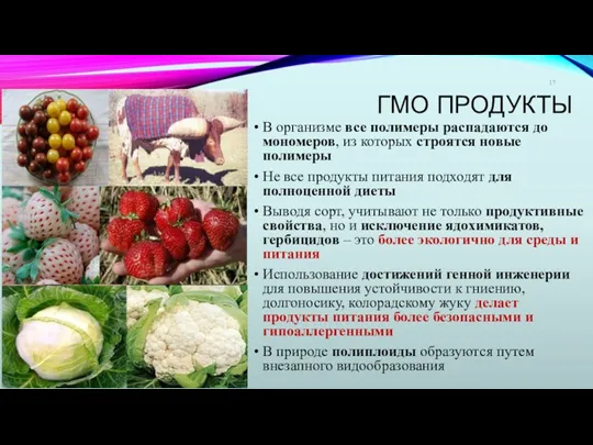 ГМО ПРОДУКТЫ В организме все полимеры распадаются до мономеров, из