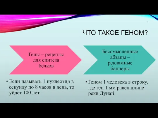 ЧТО ТАКОЕ ГЕНОМ?