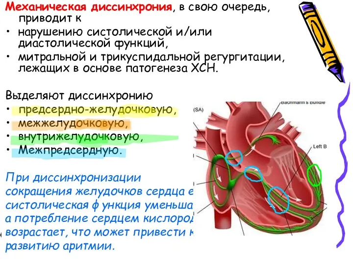 Механическая диссинхрония, в свою очередь, приводит к нарушению систолической и/или