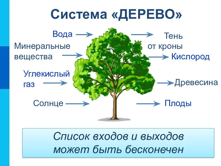 Система «ДЕРЕВО» Список входов и выходов может быть бесконечен