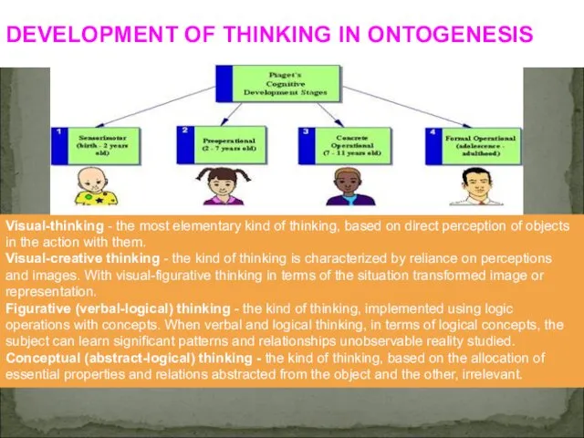 DEVELOPMENT OF THINKING IN ONTOGENESIS Visual-thinking - the most elementary