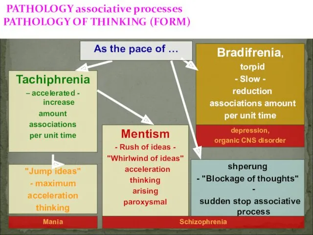 PATHOLOGY associative processes PATHOLOGY OF THINKING (FORM) Tachiphrenia – accelerated