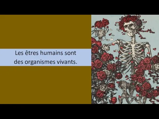 Les êtres humains sont des organismes vivants.